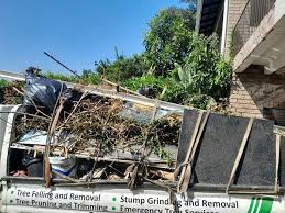 Best Moving and Downsizing Cleanouts  in Jacinto City, TX